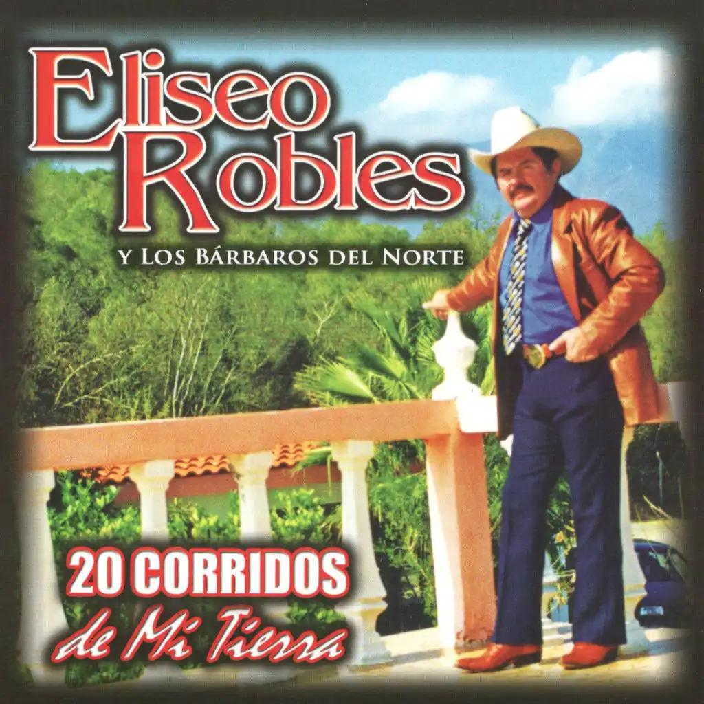 20 Corridos De Mi Tierra