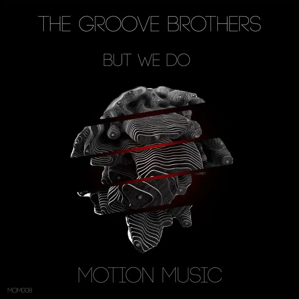 The Groove Brothers