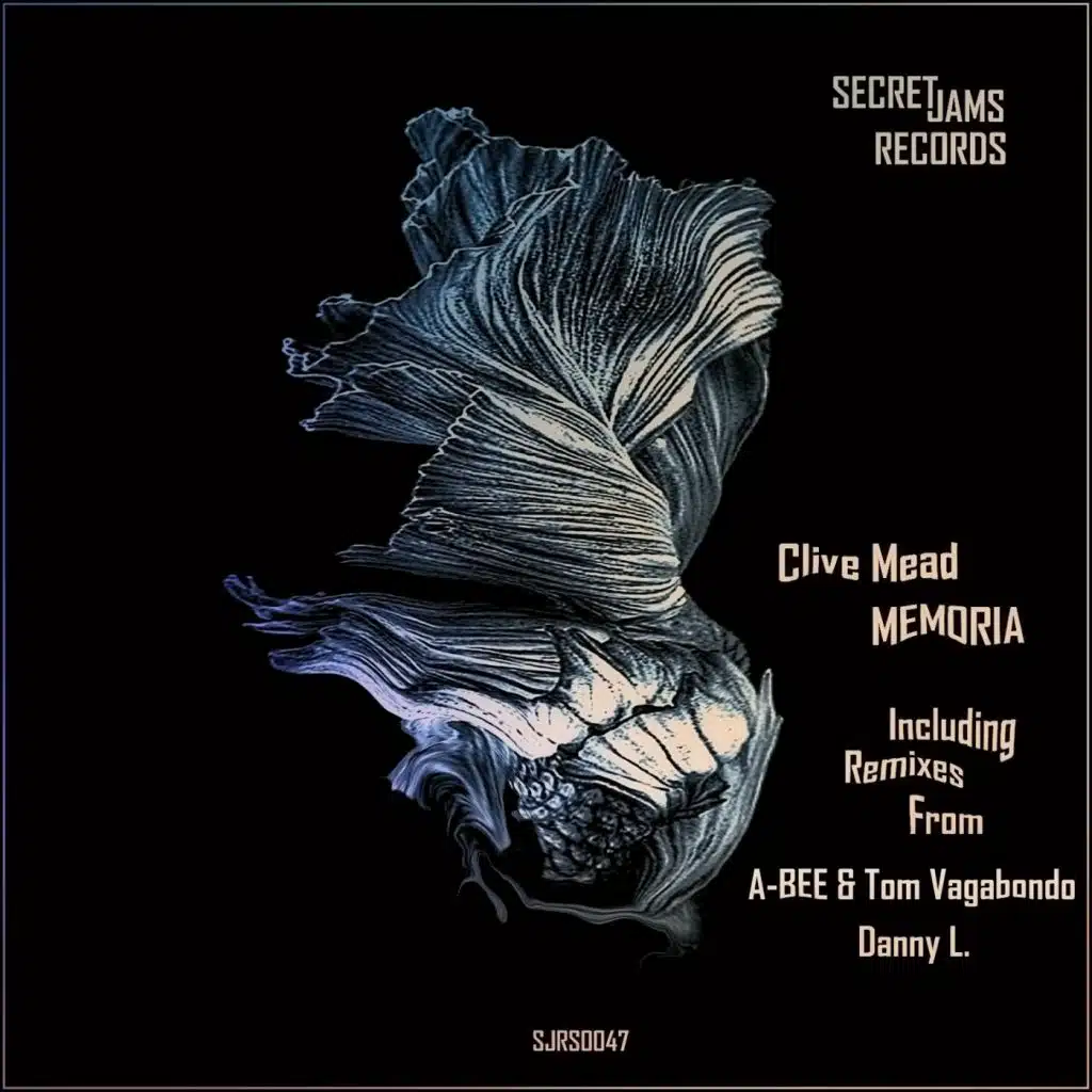 Memoria (Danny L. Remix)