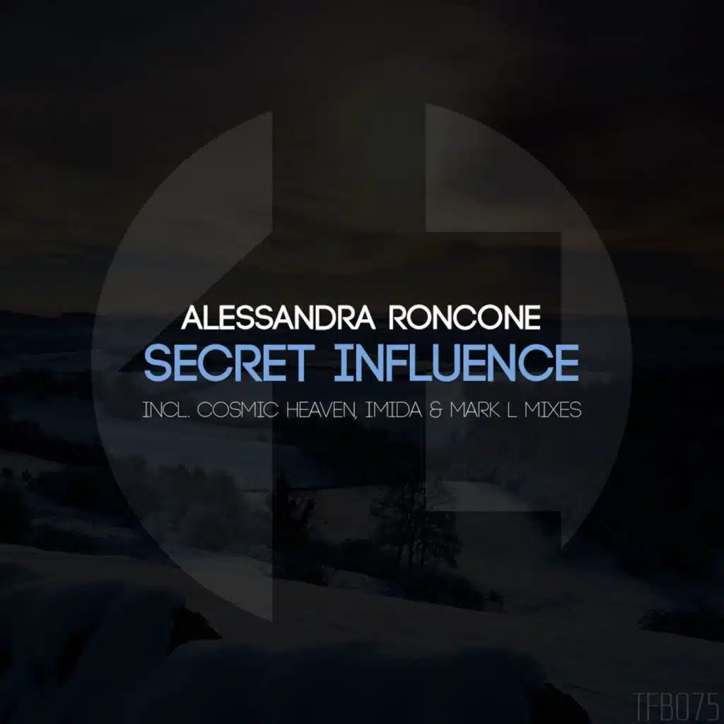 Secret Influence (Imida Remix)