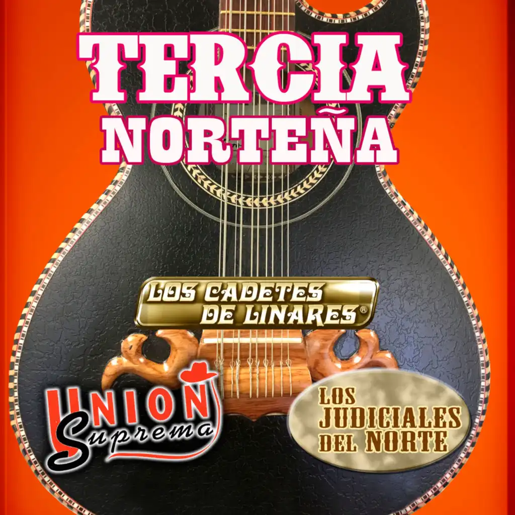 Tercia Norteña