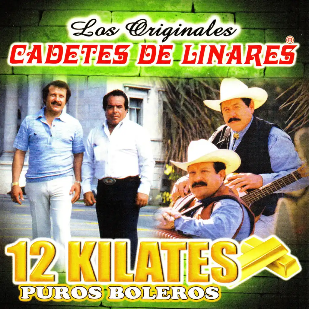 12 Kilates Puros Boleros (feat. Homero Guerrero y Lupe Tijerina & Lupe Tijerina y Rosendo Cantu)