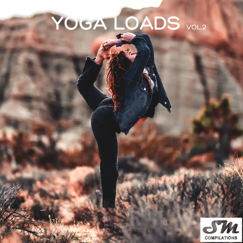 Yoga Loads, Vol. 2