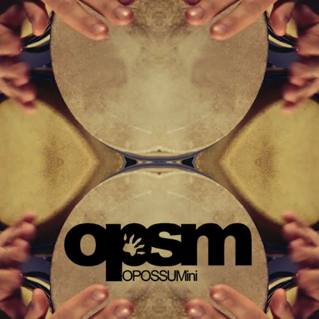 Bongospace (Windworld Edit) [feat. Ion Ludwig]