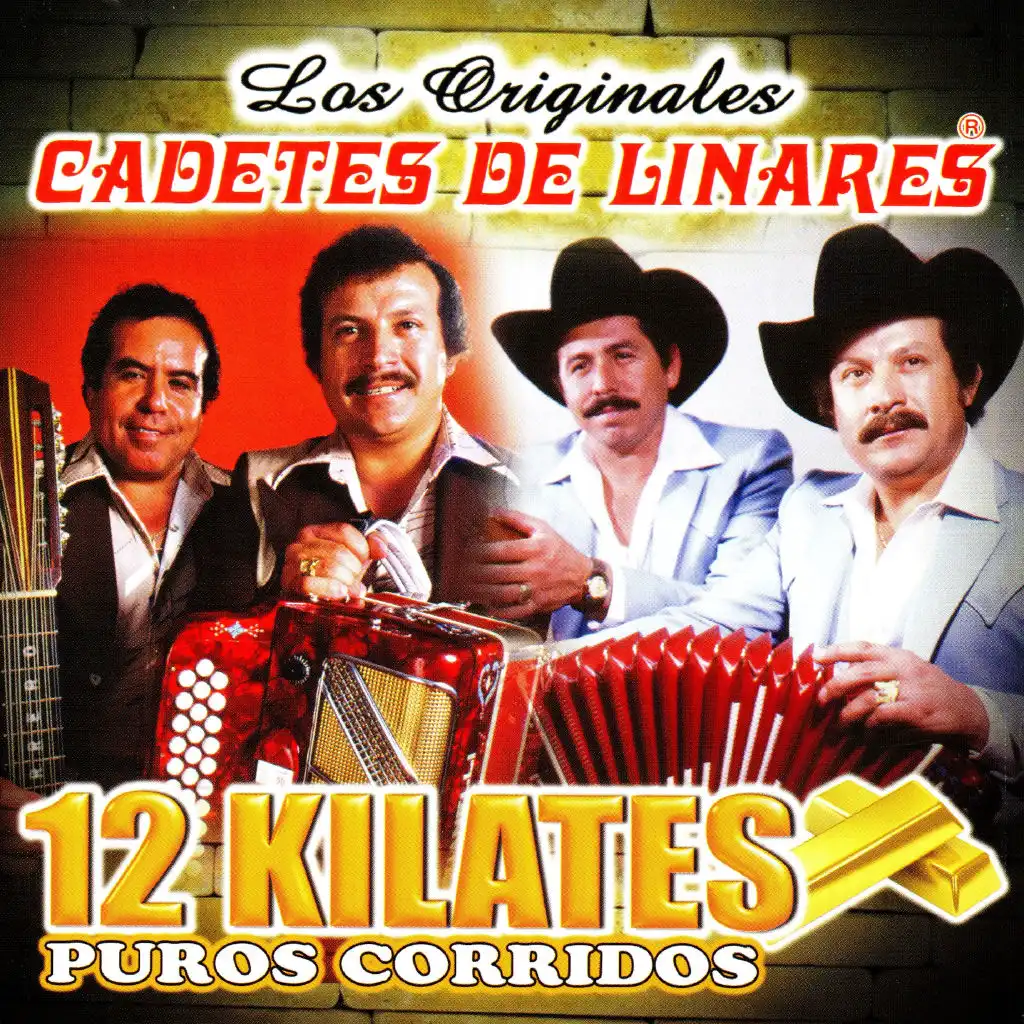 Hermanos Bocanegra (feat. Homero Guerrero y Lupe Tijerina)