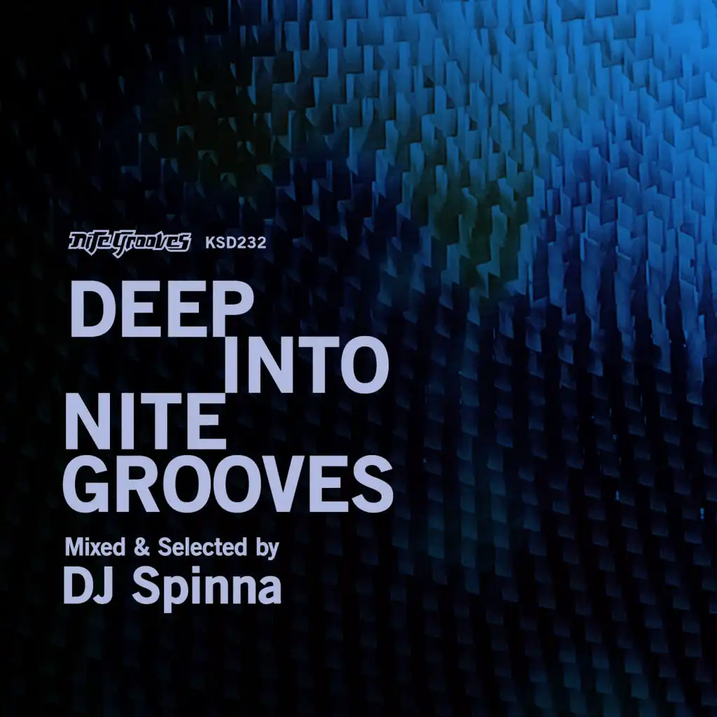 Deep Into Nite Grooves (Continuous DJ Mix)