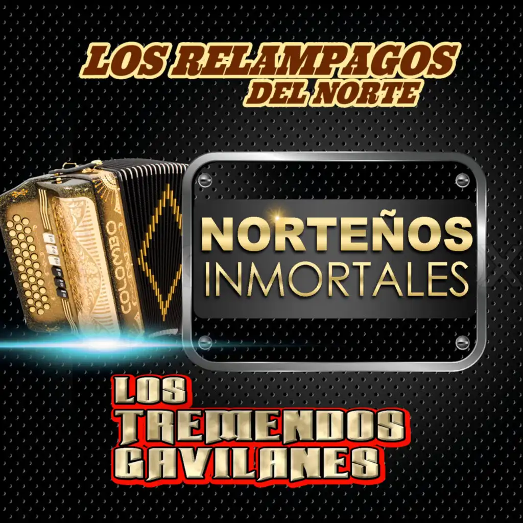 Los Relámpagos Del Norte, Los Tremendos Gavilanes