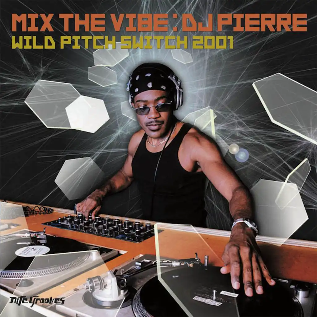 Mix The Vibe: DJ Pierre Wild Pitch Switch 2001  (DJ Mix)