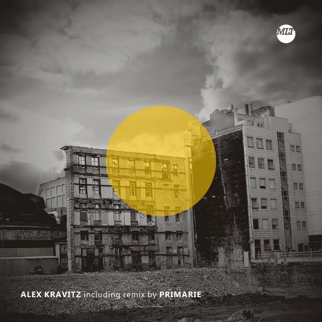 Portret (Primarie 'Picteaza' Remix)