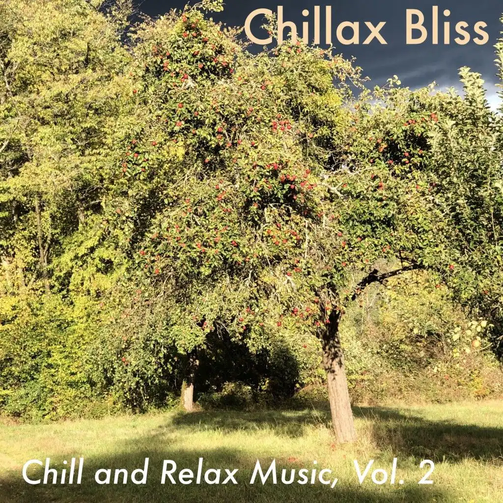 Chill and Relax Music, Vol. 2