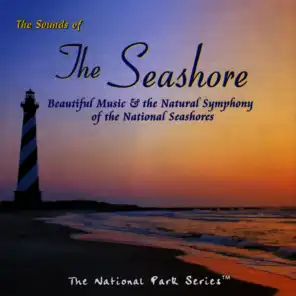 The Sounds of the Seashore