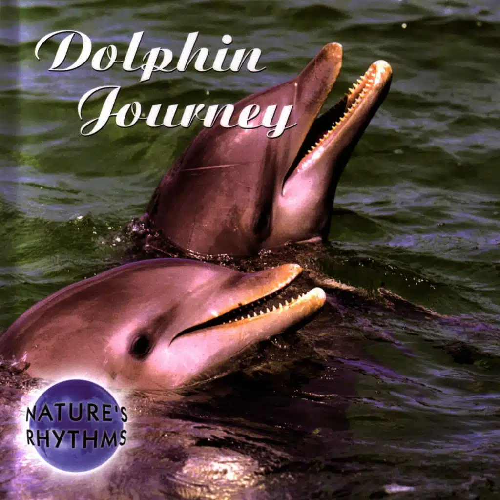 Dolphin Journey