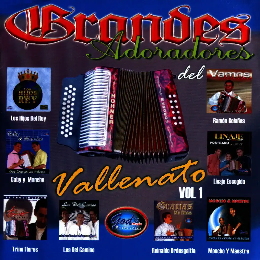 Grandes Adoradores del Vallenato, Vol. 1