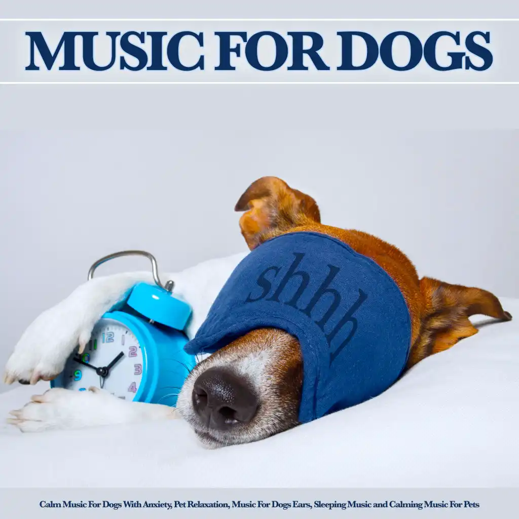 Music for Dogs With Anxiety