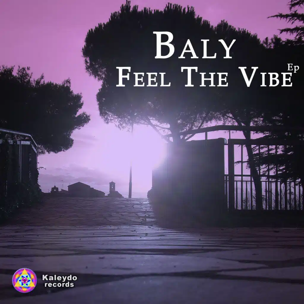 Feel The Vibe
