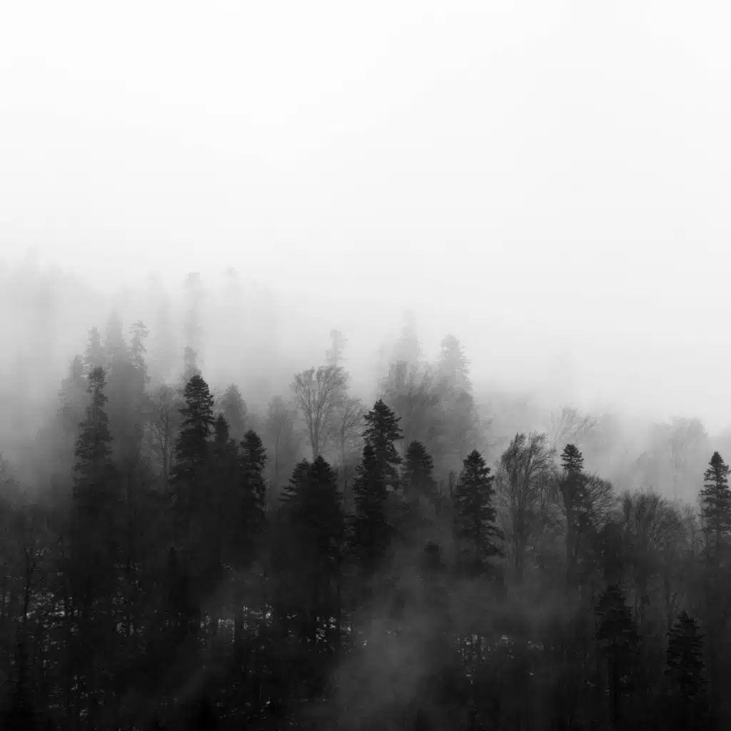 Chill Before Snoozing