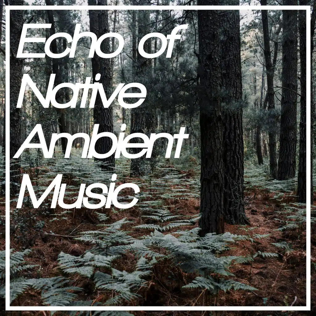 Silence Meditation (Cure for Insomnia)