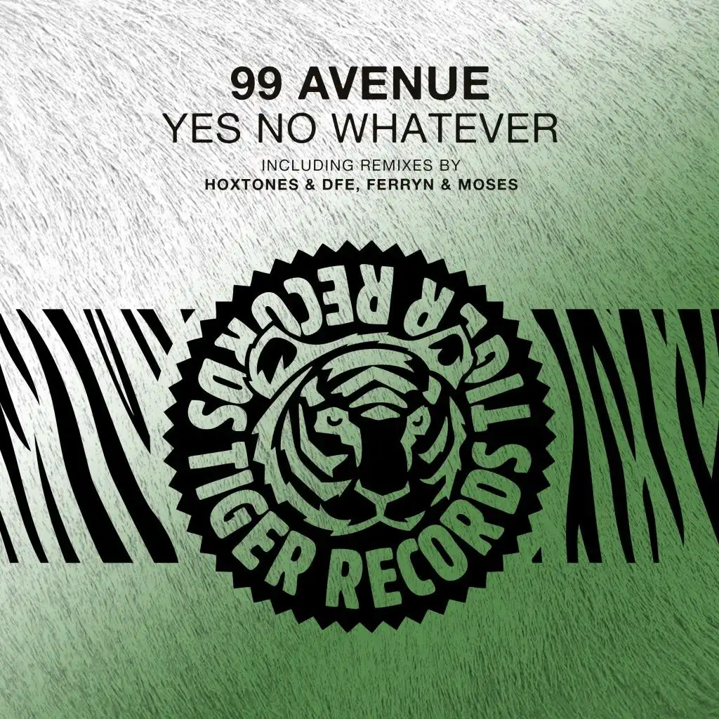 Yes No Whatever (Hoxtones & Dfe Radio Edit)