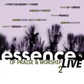 Essence Of Praise & Worship Vol. 2