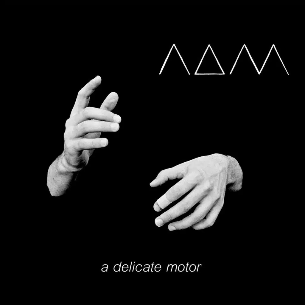 A Delicate Motor