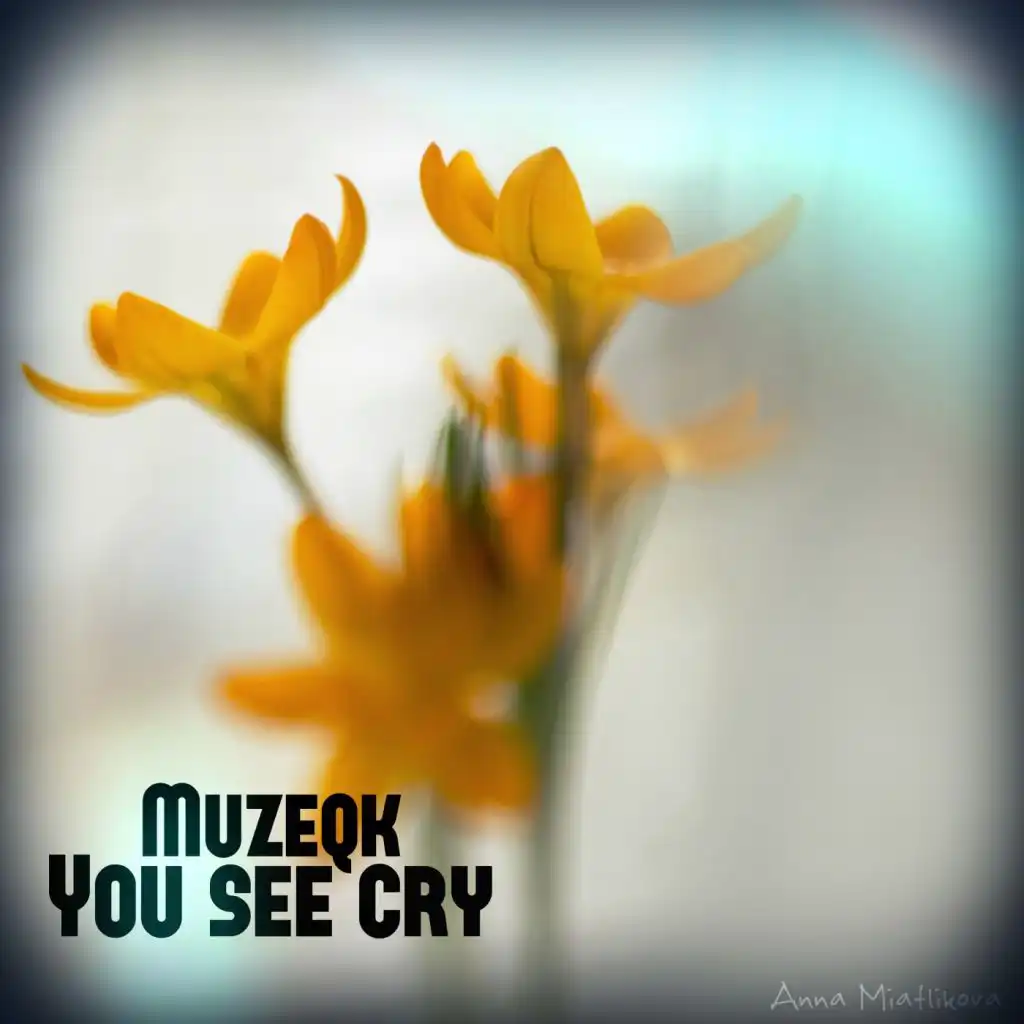 You See Cry (Akis Ziak Remix)