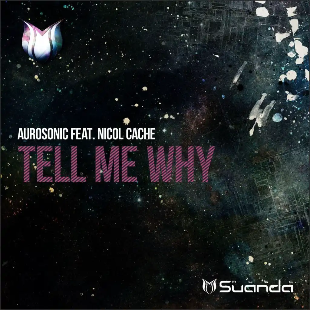 Tell Me Why (feat. Nicol Cache)