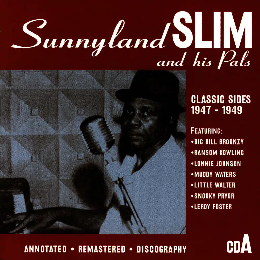 Sunnyland Slim & Johnny Shines & Robert Lockwood & Floyd Jones & Leroy Foster & J.B. Renoir & Jimmy Rogers & St. Louis Jimmy
