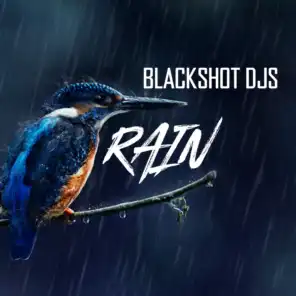 BlackShot DJs