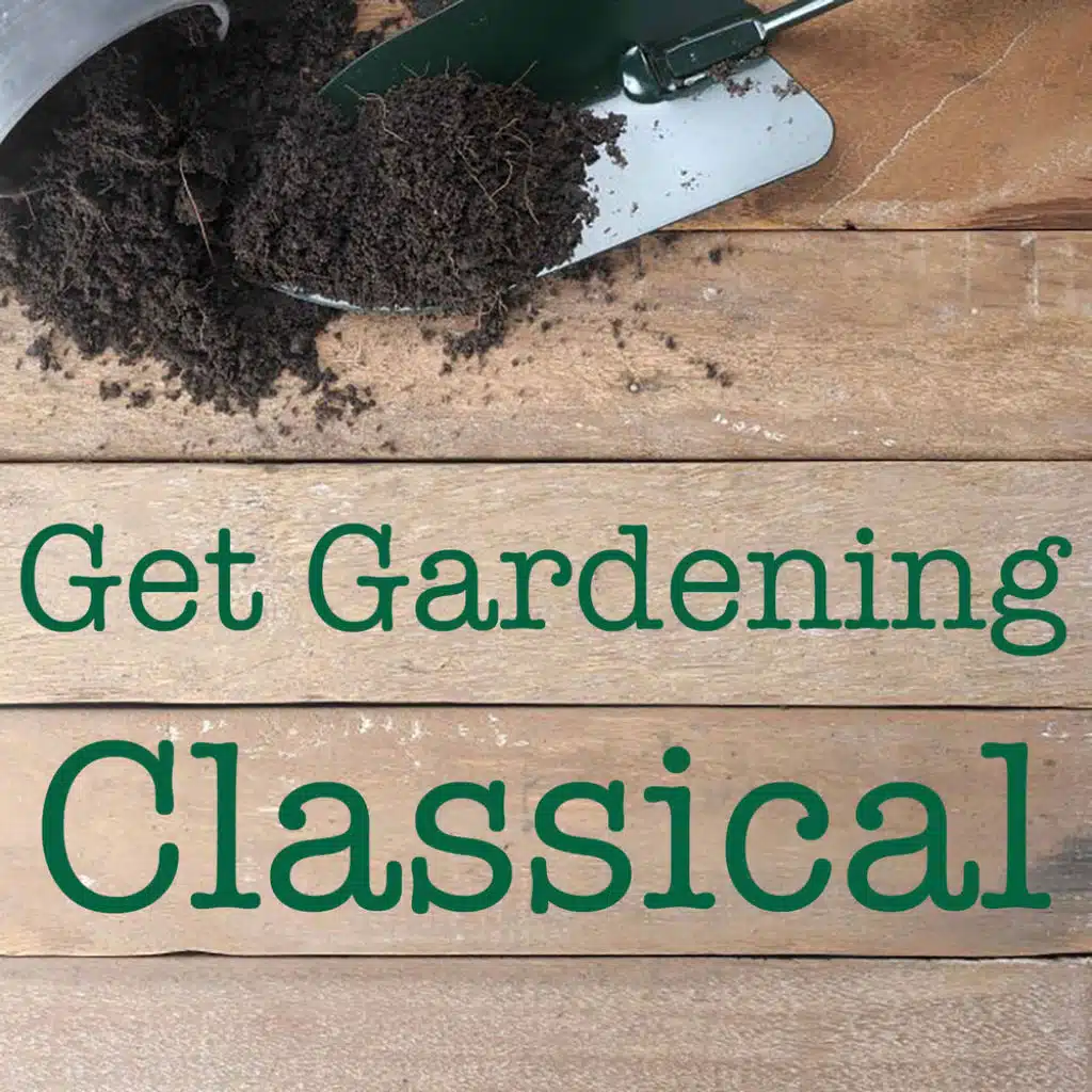 I. Pictures at an Exhibition: I