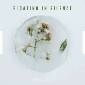 Floating in Silence