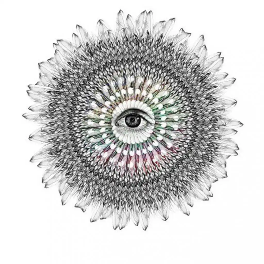 Venus Mayan (Le 13Eme Projet 'S Orbit Remix)