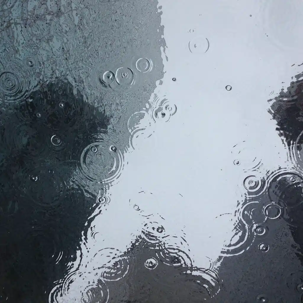 Rain in the Garden