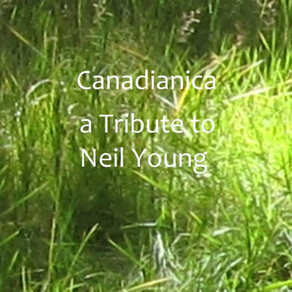 Canadianica - A Tribute to Neil Young
