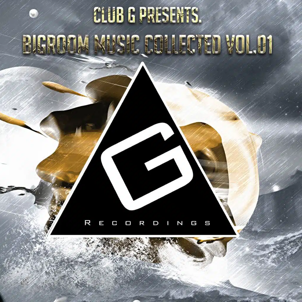 Bigroom Music Collected Vol.01