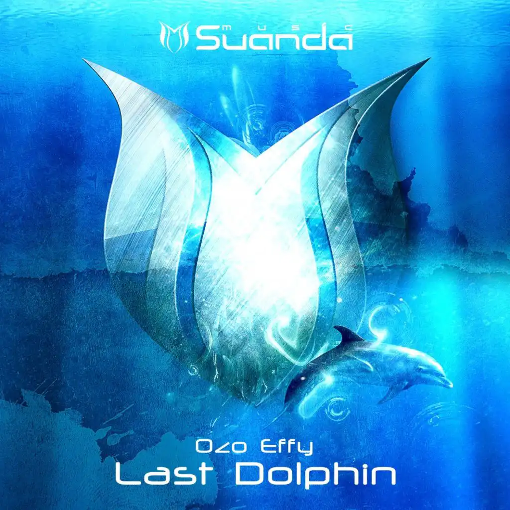 Last Dolphin (Erick Strong Remix)