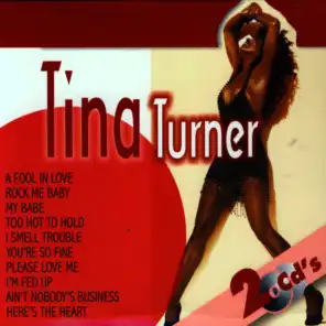 Lo Mejor De Tina Turner (The Best of Tina Turner)