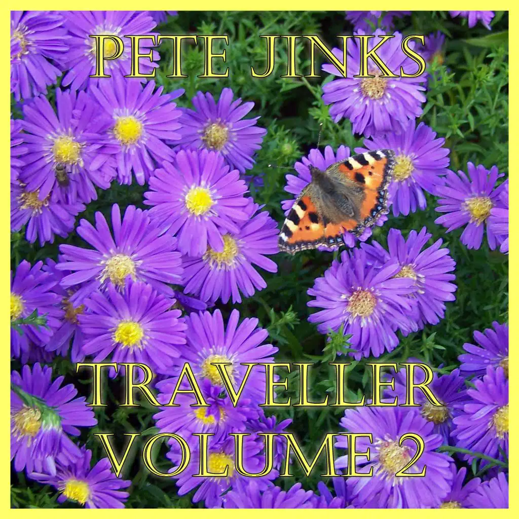 Traveller Vol. 2