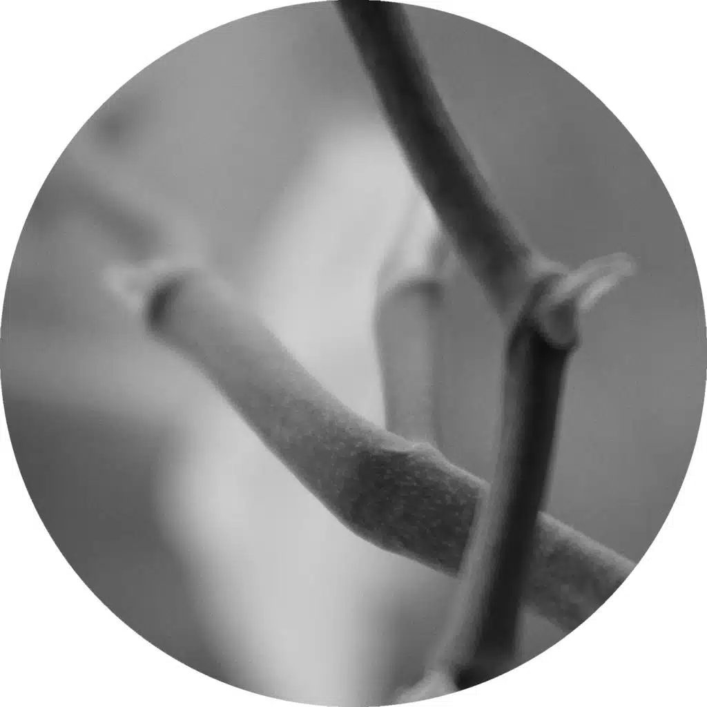 My Woman (Jafma Remix)