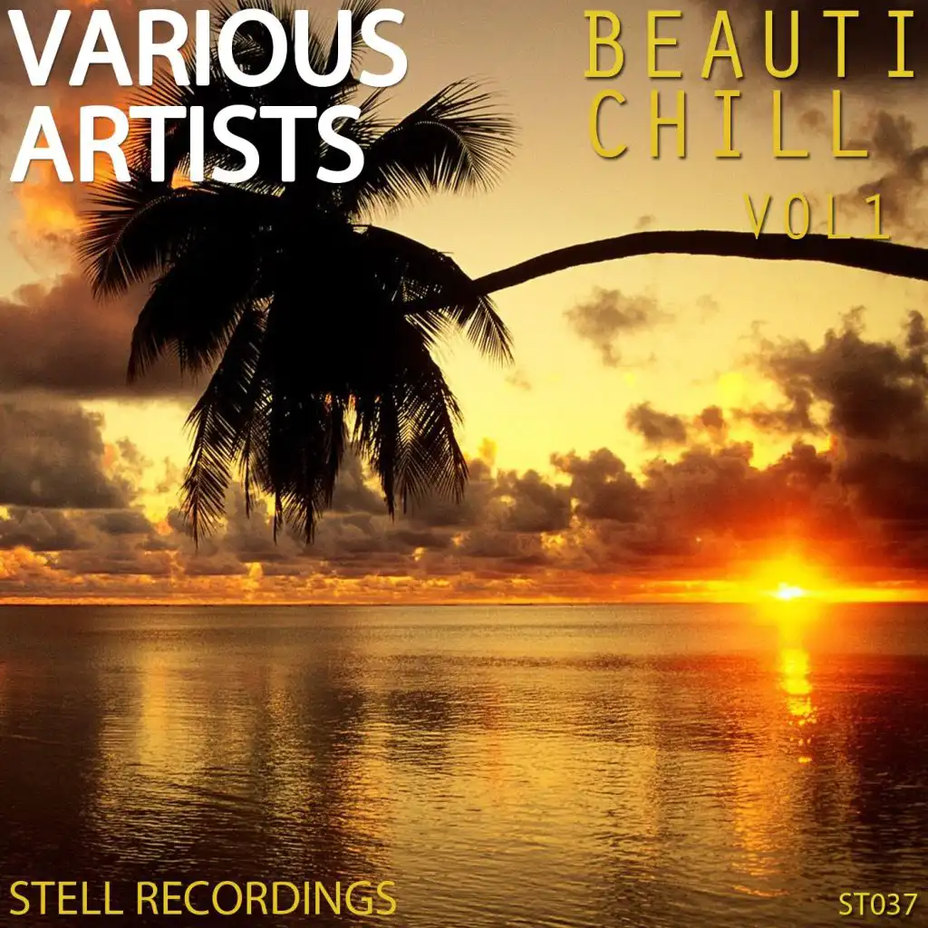 Beauti Chill Vol.1