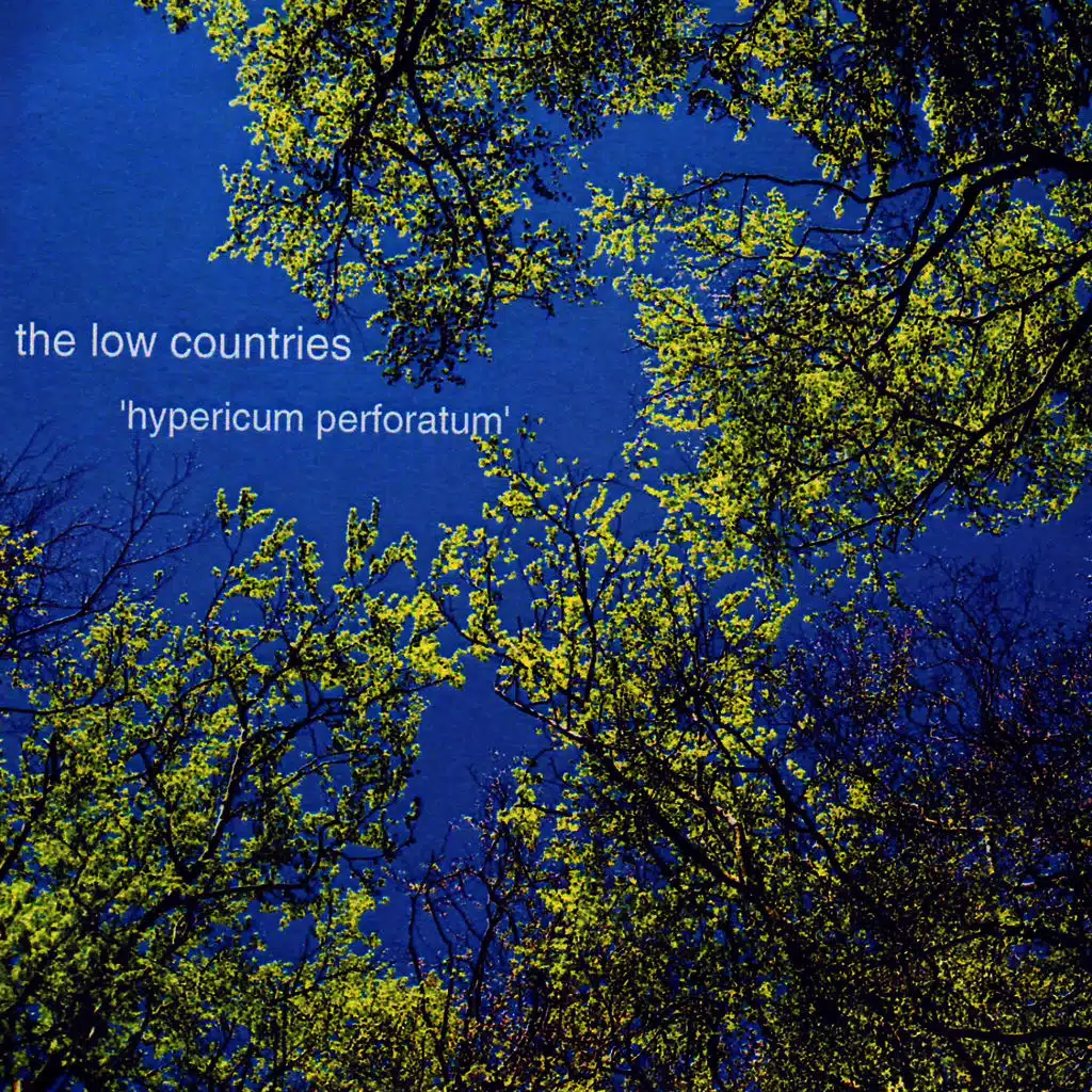 Hypericum Perforatum