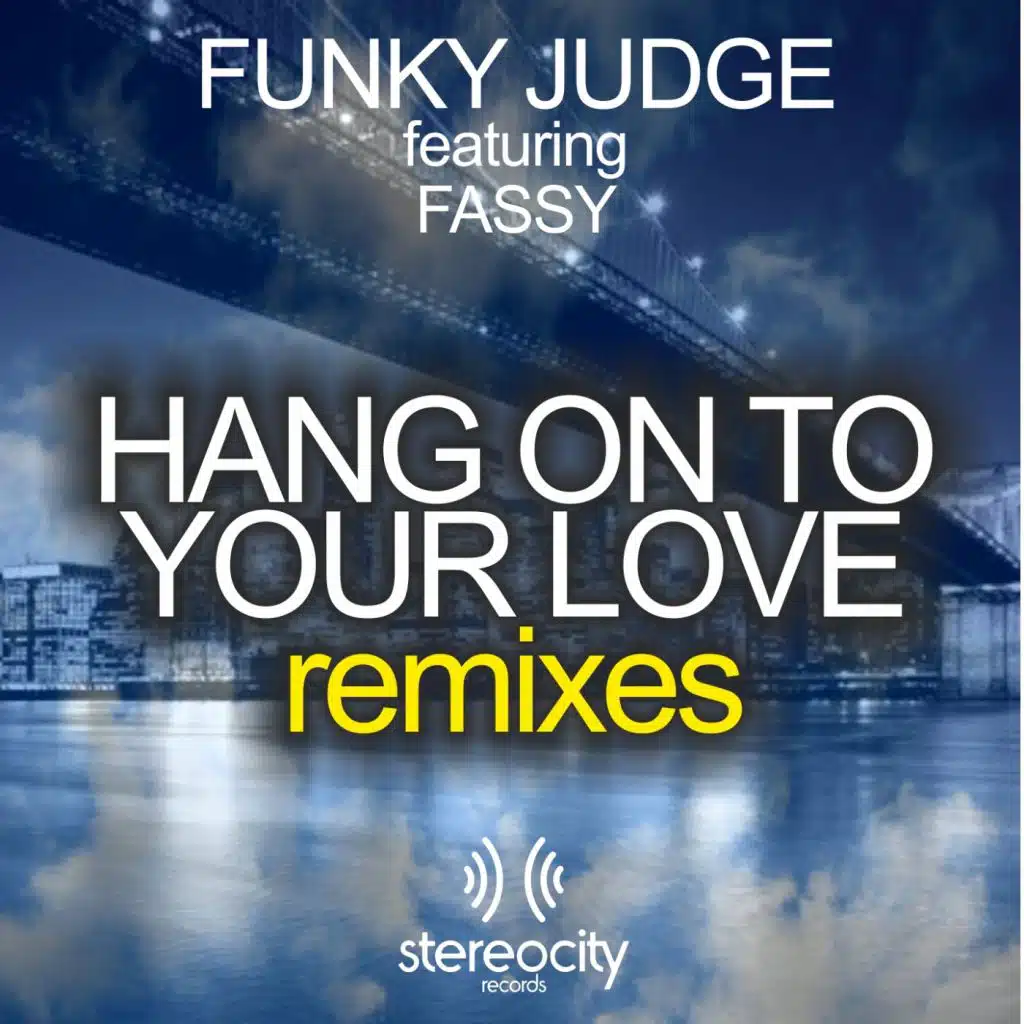 Hang On To Your Love (Pagany Nu Funk Remix) [feat. Fassy]