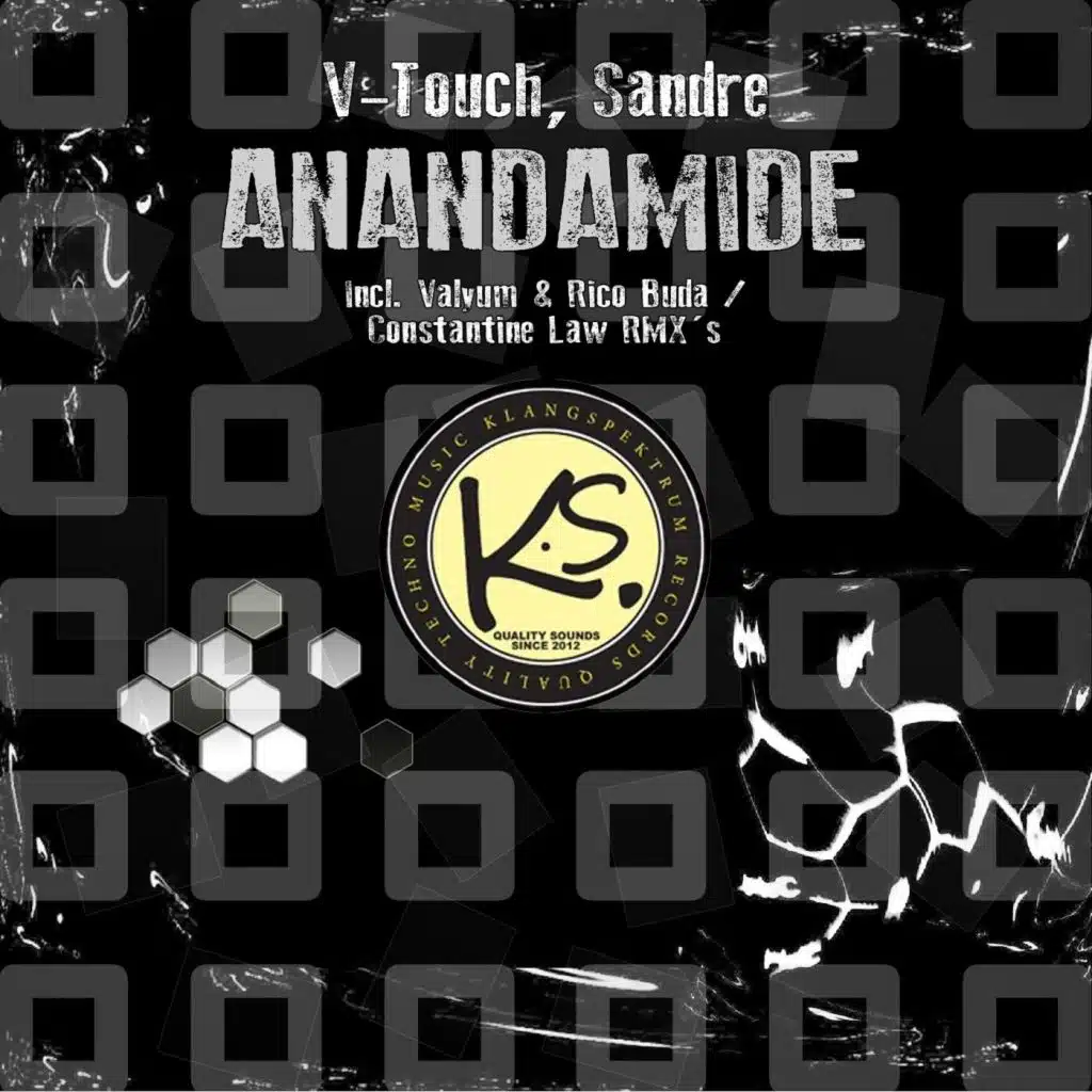 Anandamide (Valyum & Rico Buda Remix) [feat. Valyum, Rico Buda]