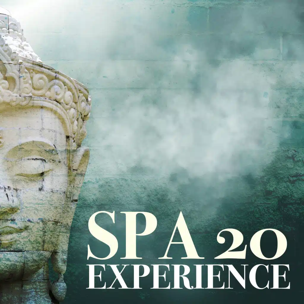 SPA EXPERIENCE 20: Momentos Especiais no Spa, Proporcionar Conforto, Desintoxicar e Revigorar