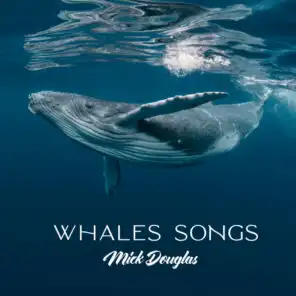 Whales Songs