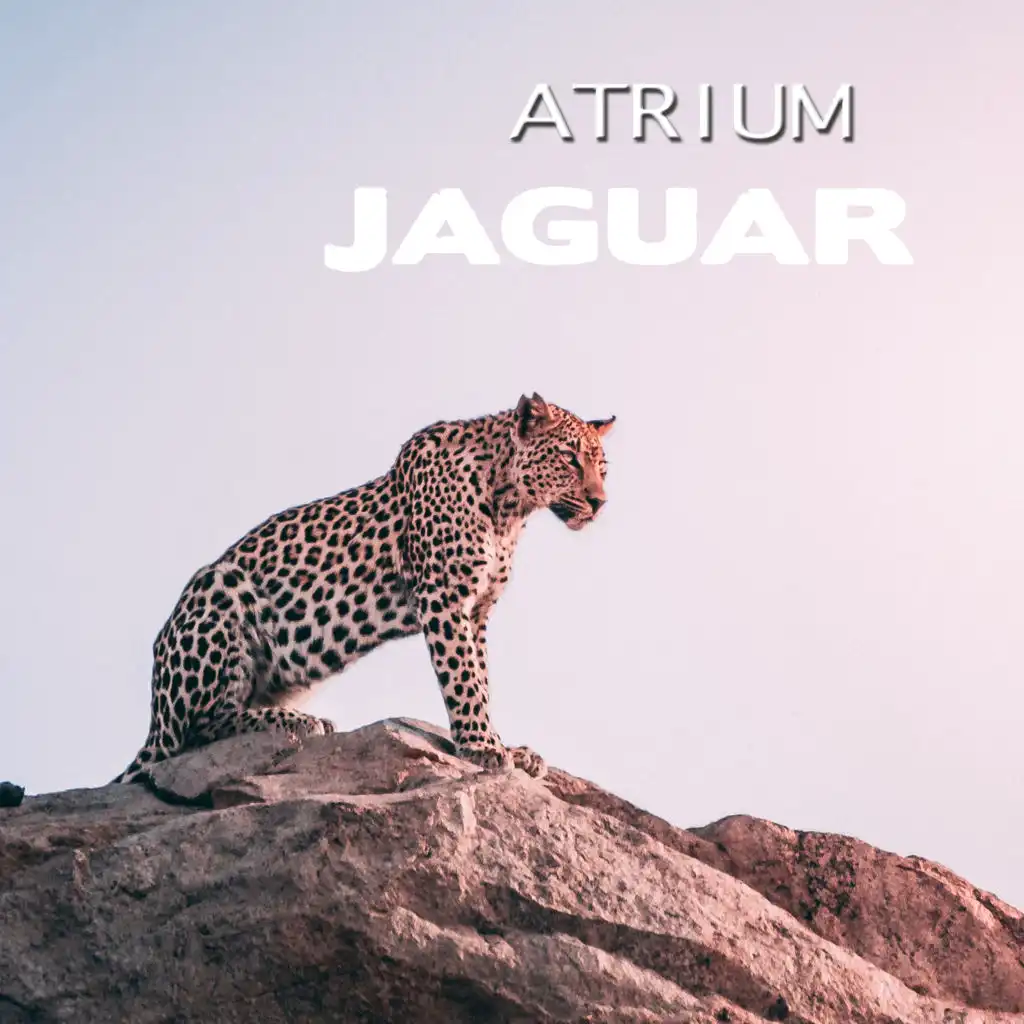 Jaguar (Extended Mix)