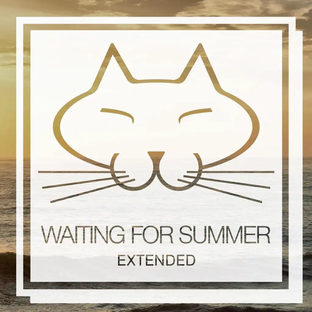 Waiting for Summer 2020 (Extended)