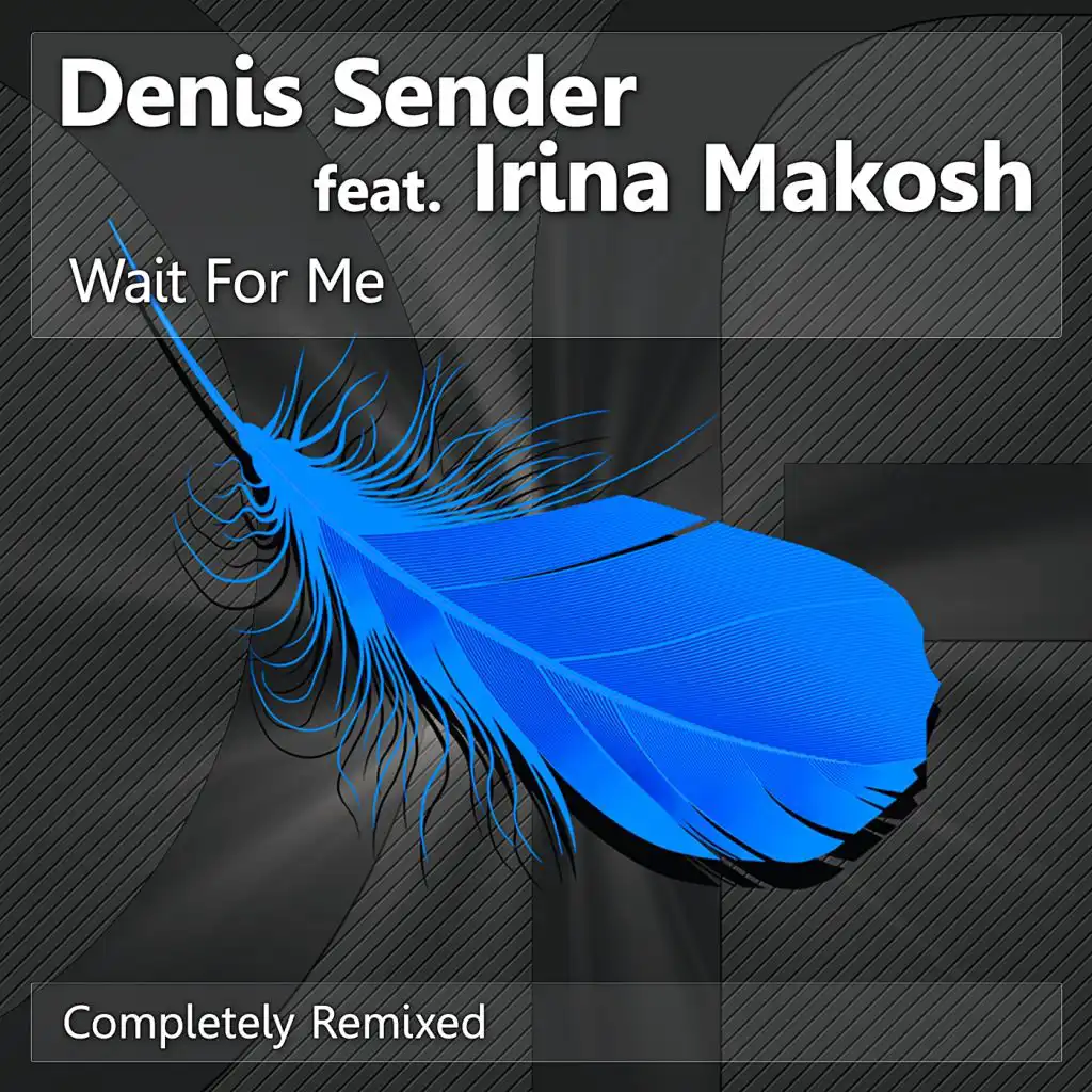 Wait For Me (Front Remix) [feat. Irina Makosh]