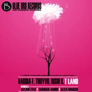T Land (Siamak Amidi Dub Remix)
