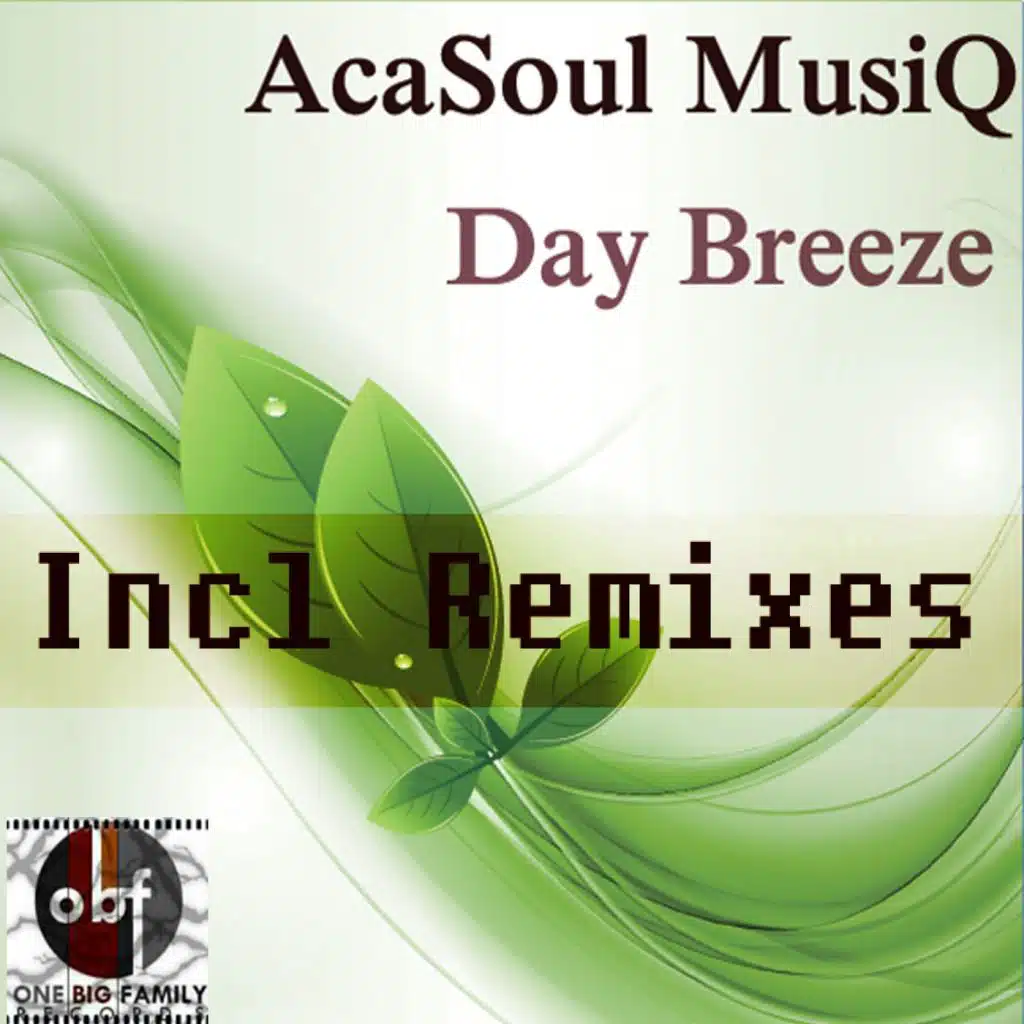 AcaSoul MusiQ