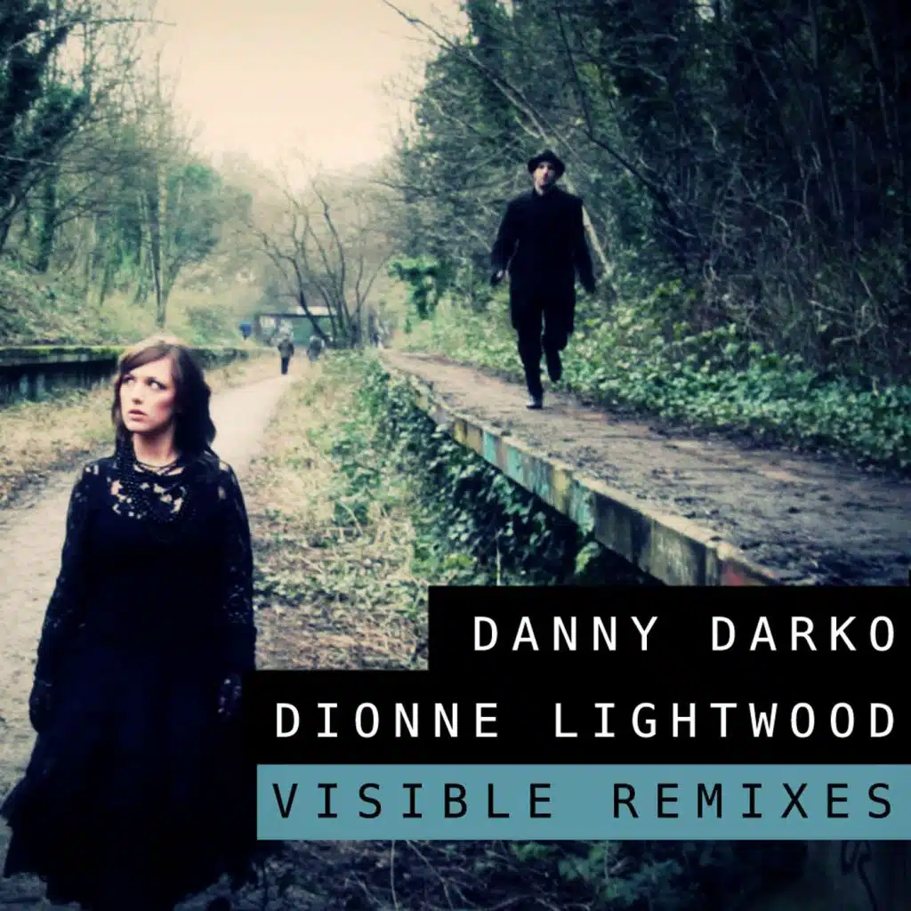 Visible (Monroe Remix)